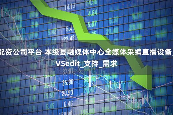 配资公司平台 本级县融媒体中心全媒体采编直播设备_VSedit_支持_需求
